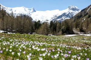 Matrei in Osttirol, Gschloesstal