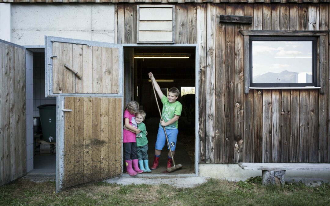 Sommer&shy;kooperationen