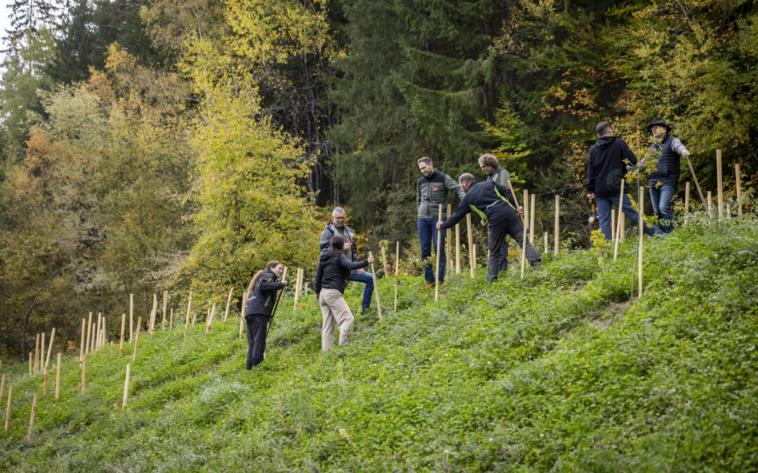 Radeln für klimafitte Bergwälder