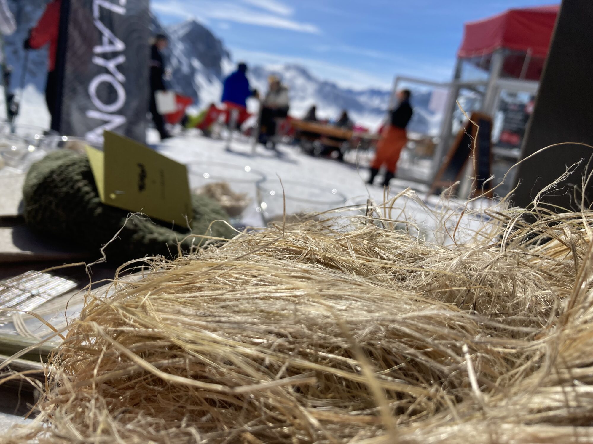 Diskutierten in F&uuml;gen zum Thema &bdquo;Bewegung ist mehr als Sport&ldquo; (v.l.): Skisprung-Legende Toni Innauer, Thomas Rohregger (ehemaliger Rennradprofi, Sportnetzwerk Tirol), Sportwissenschaftlerin Elisabeth Happ (Universit&auml;t Innsbruck), Anna-Maria Kogler (Sportnetzwerk Tirol), Christoph Ebenbichler (Skicrosser, Trainer und Sportwissenschaftler), Stefan Steinacher (Sportmoderator) und Bergl&auml;ufer Markus Kr&ouml;ll. &copy; LRTH
